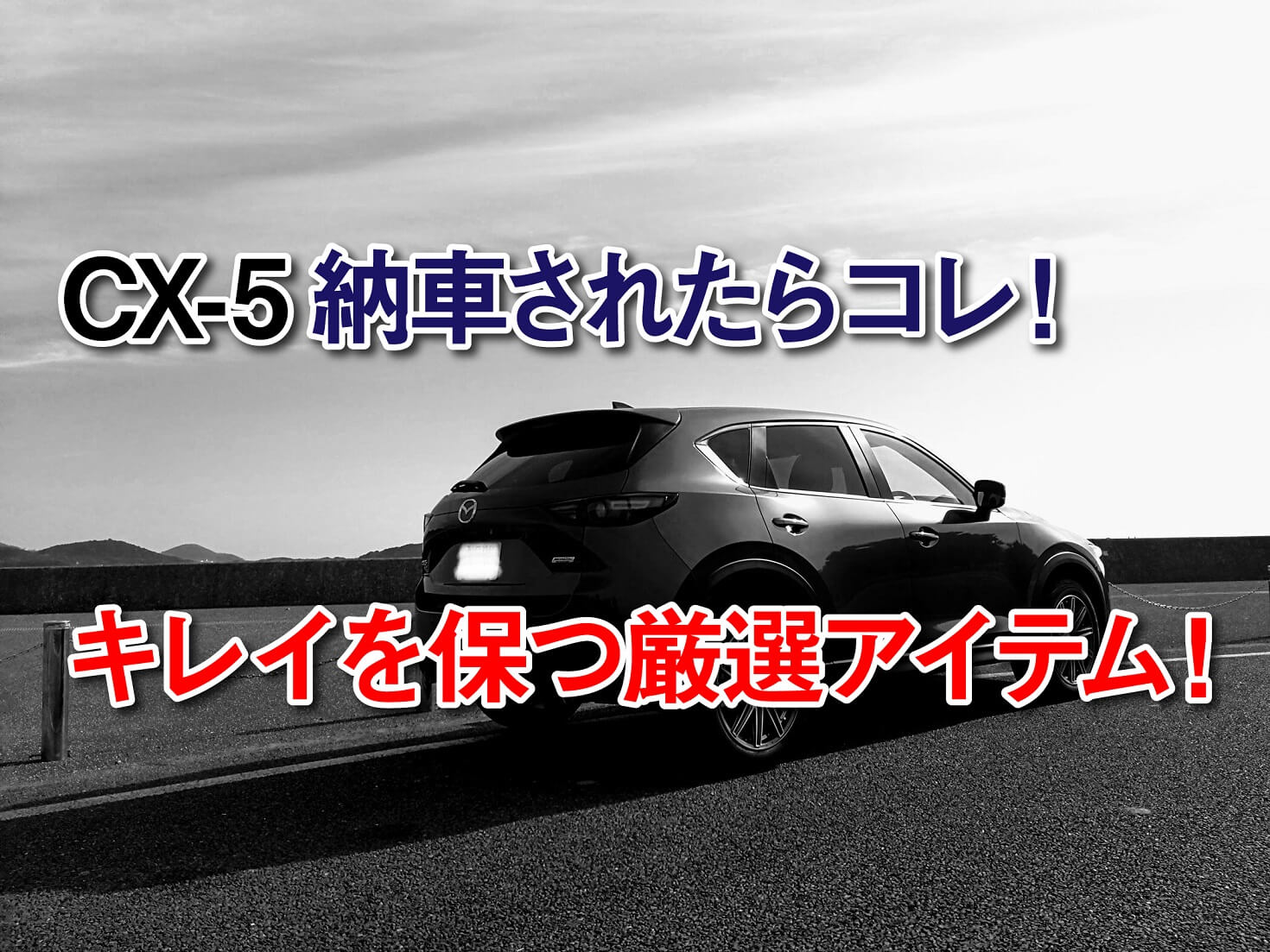 Cx 5納車したらコレを買え キレイを保つ厳選アイテム エムブロ Mblo